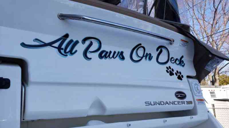 All Paws On Deck