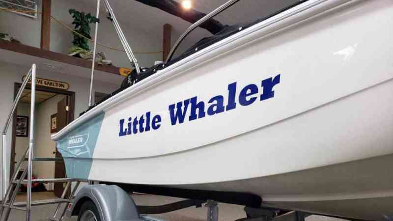 Little Whaler