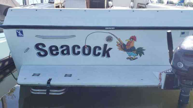 Seacock