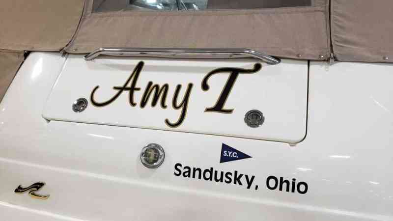Amy T